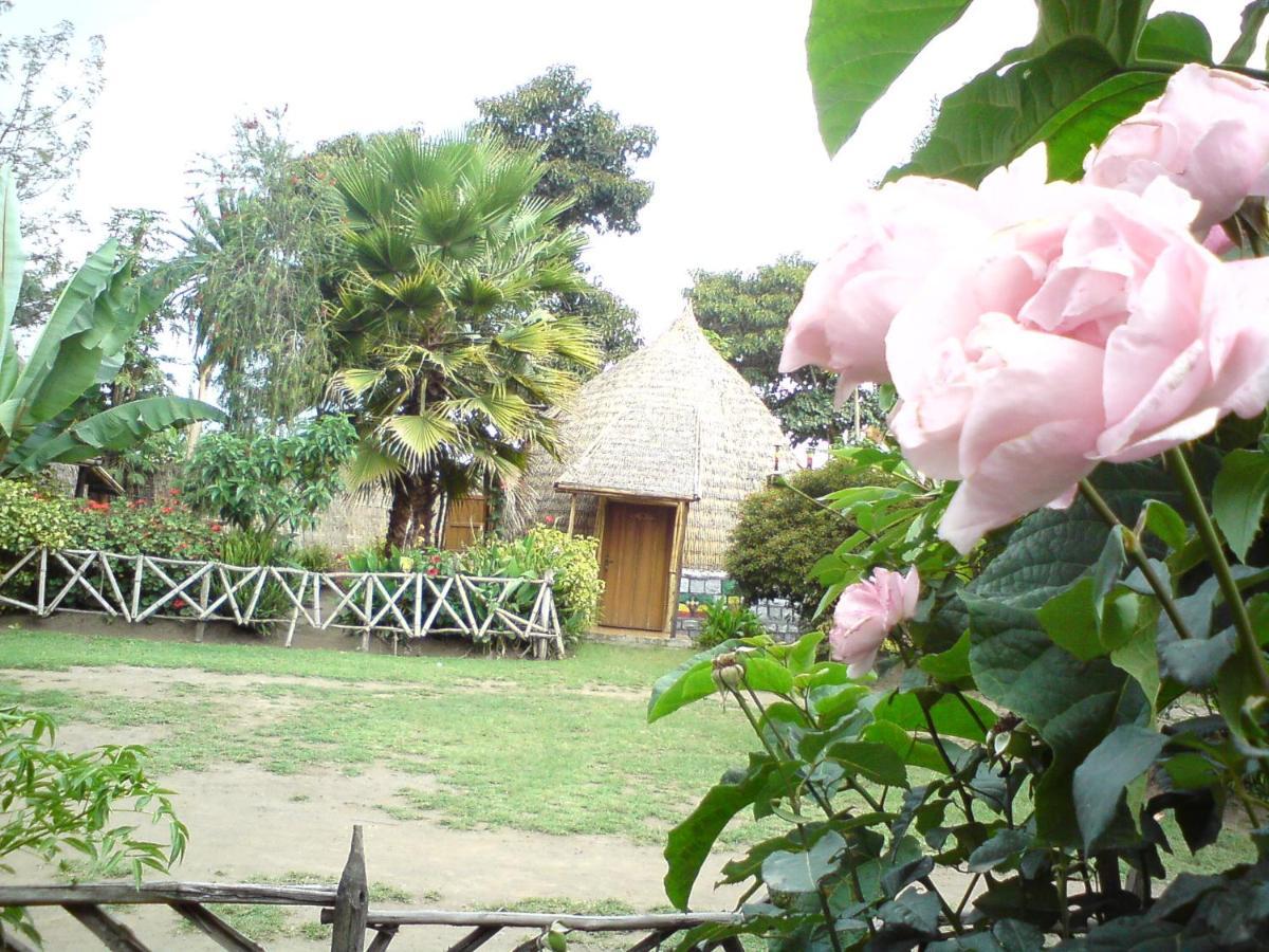 Zion Train Lodge Shashemene K'ore Exterior photo